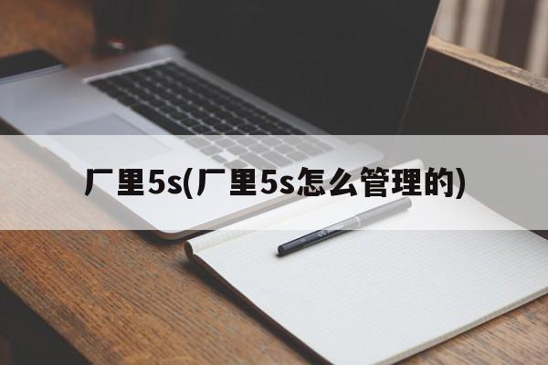 厂里5s(厂里5s怎么管理的)